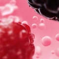 Forest Berries 35mg | RELX New Zealand.